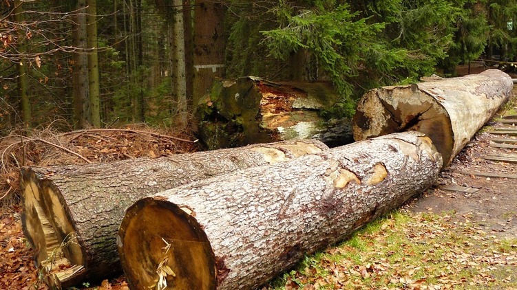 Spor o Boubín - válečná sekera znovu napůl vykopána?